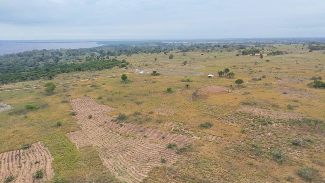 25 Parcelles à Vendre Muanda