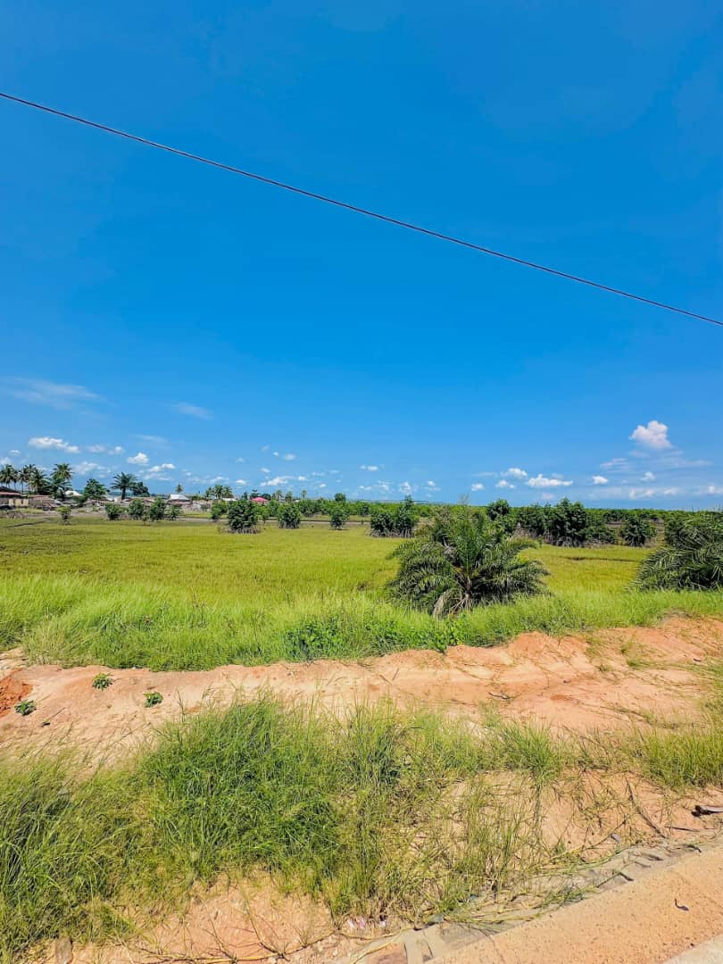 Terrain exceptionnel à vendre à Muanda – Bord de l’océan - vue 6