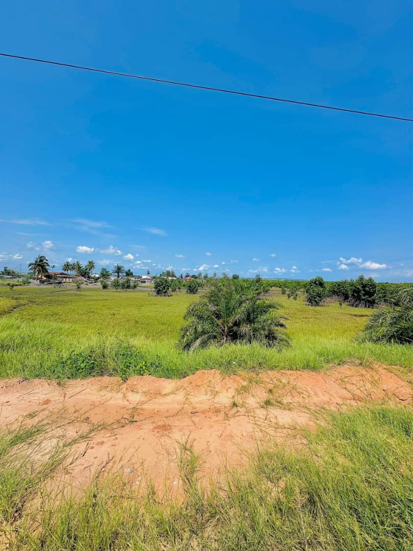Terrain exceptionnel à vendre à Muanda – Bord de l’océan - vue 3