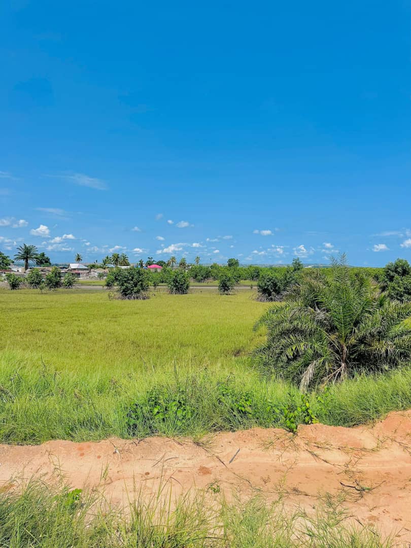 Terrain exceptionnel à vendre à Muanda – Bord de l’océan - vue 4